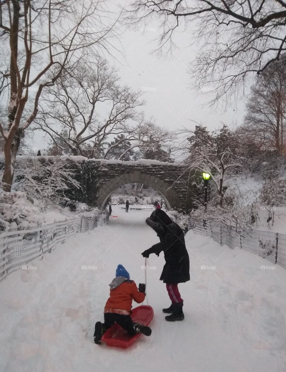 Snow Sledding in NYC Park