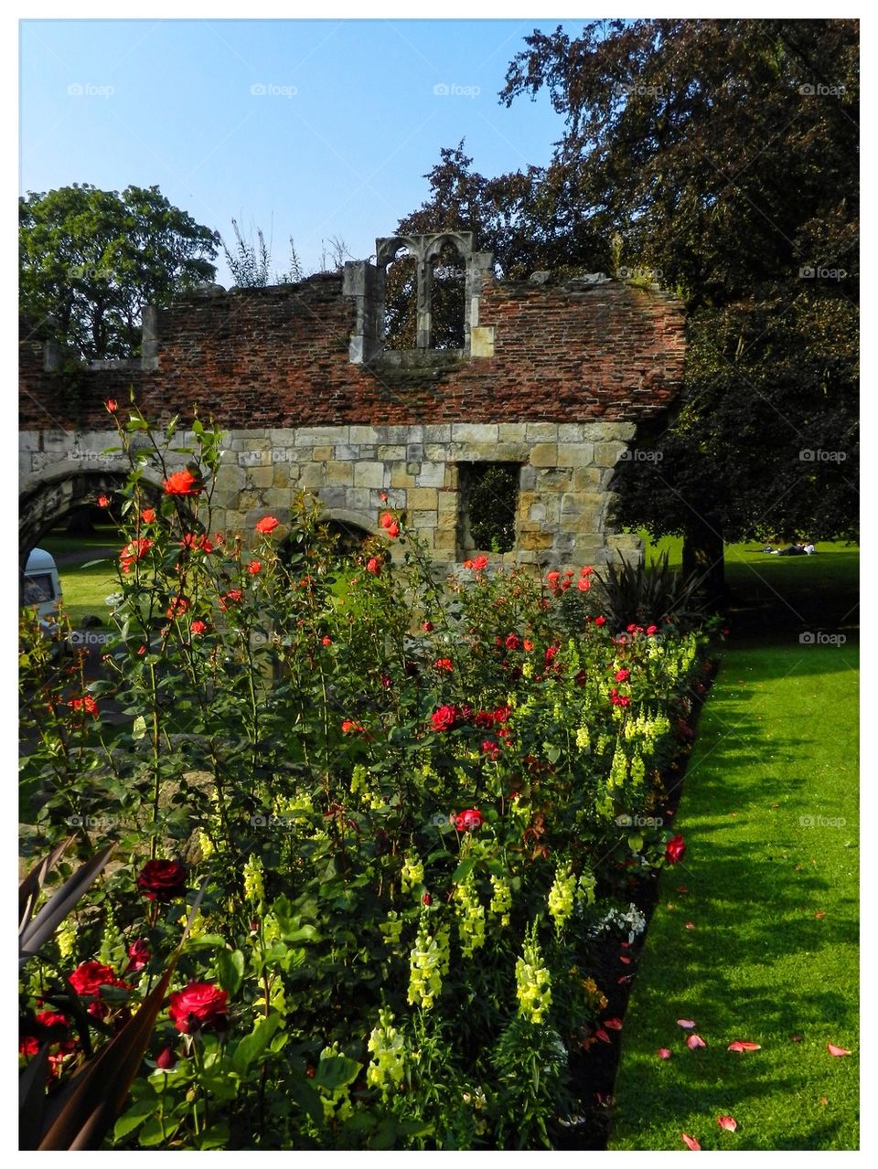 York museum garden 2