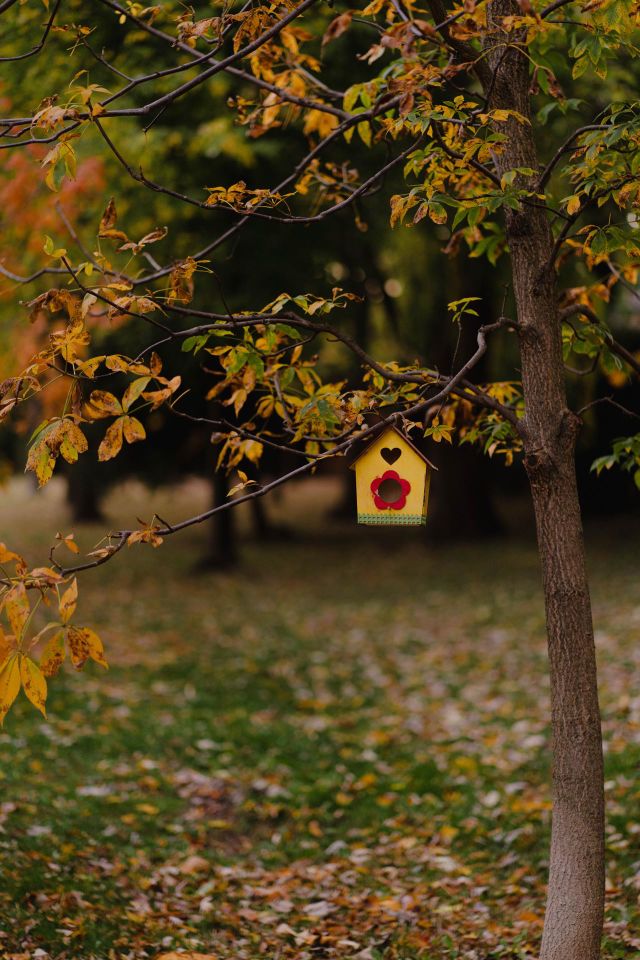 I love my nature walks.  I never know what I'm going to see.
