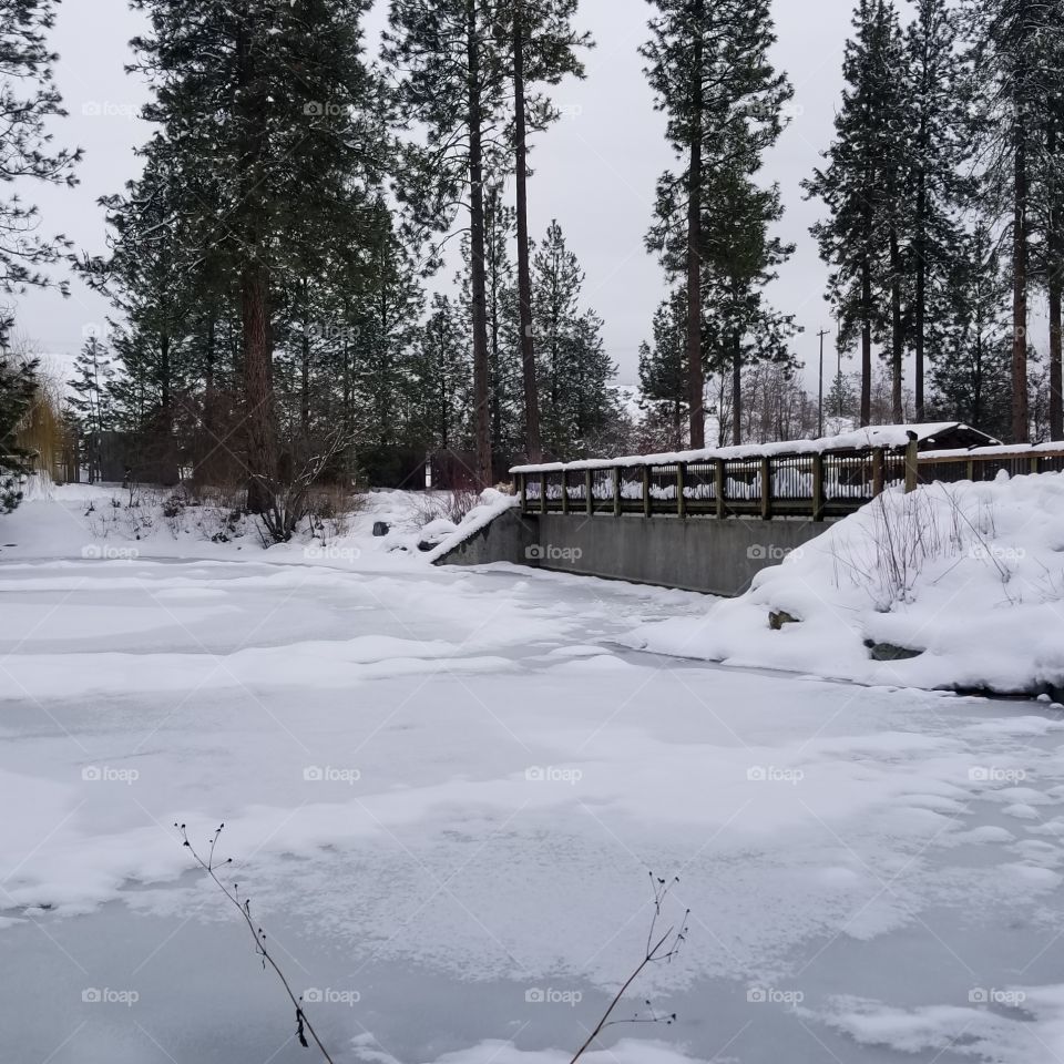 frozen pond along a bridge on a winter day
