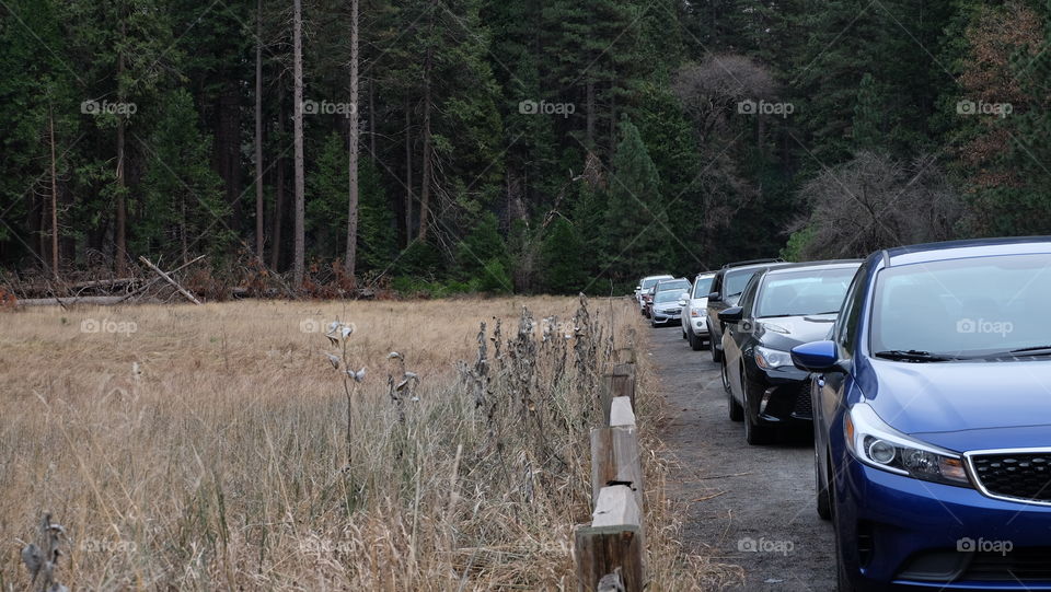 Multiple cars along an empty field.