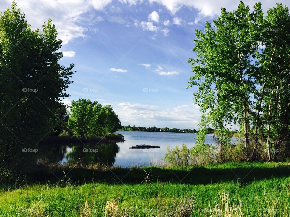 Lake. Nature