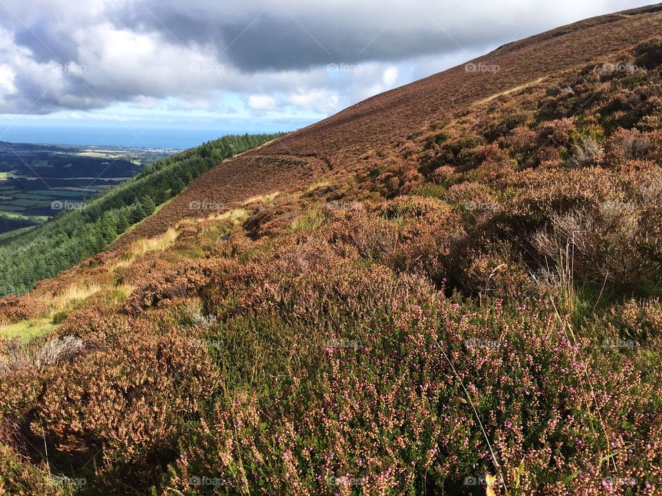 No Person, Landscape, Nature, Travel, Sky