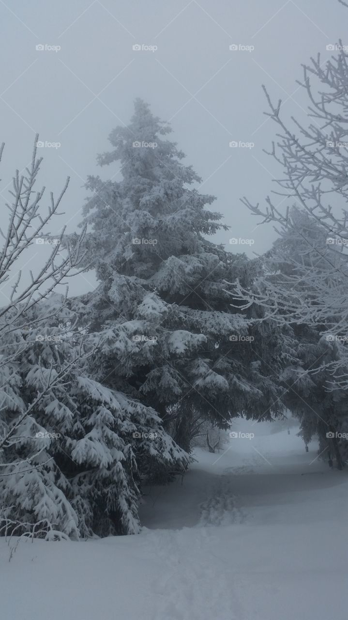 black and white . our climb was 1000 steps from the snow but it was just an uphill