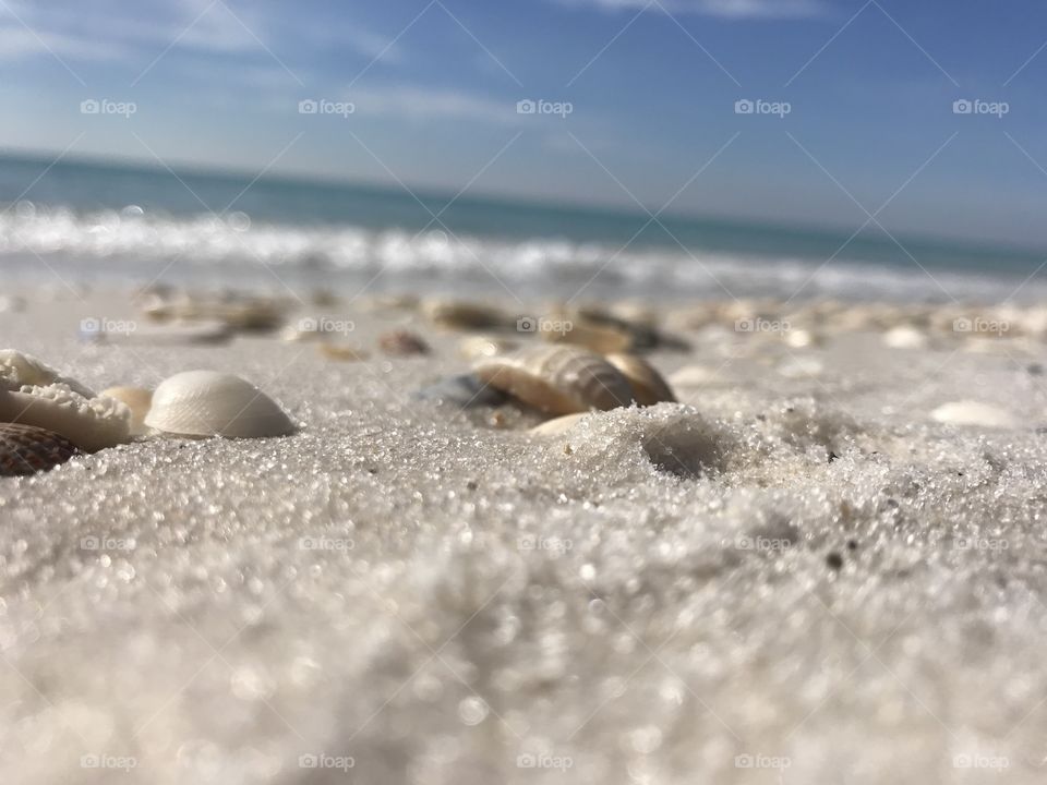 Sitting with the sea