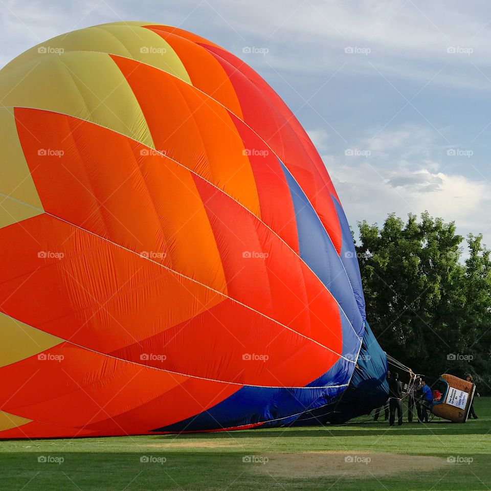 A hot air balloon with brilliant colors on its side while it fills up for its morning flight in Ochoco Park in Prineville in Central Oregon on a summer morning in July. 