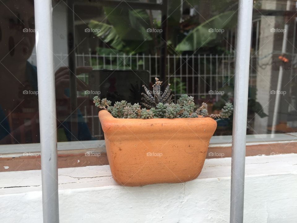 Square pot outside window