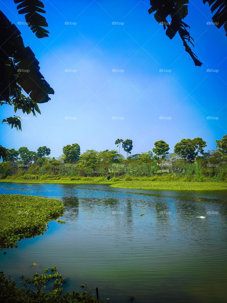 amazing lake view hd