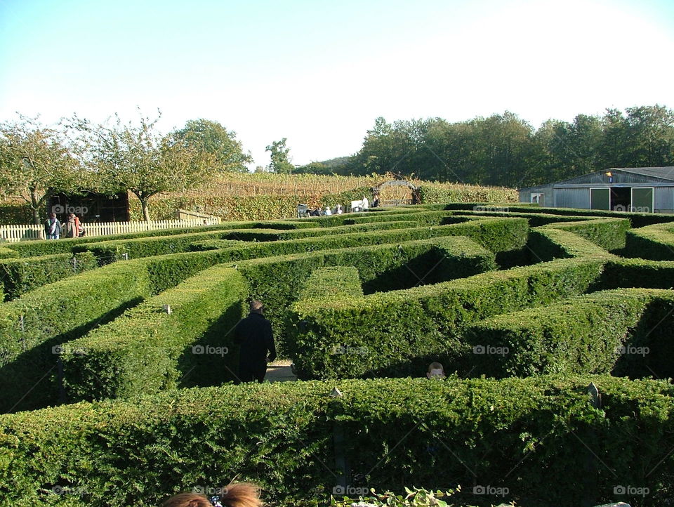 Tricky maze 