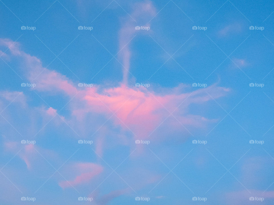 Pheonix rising from the ashes