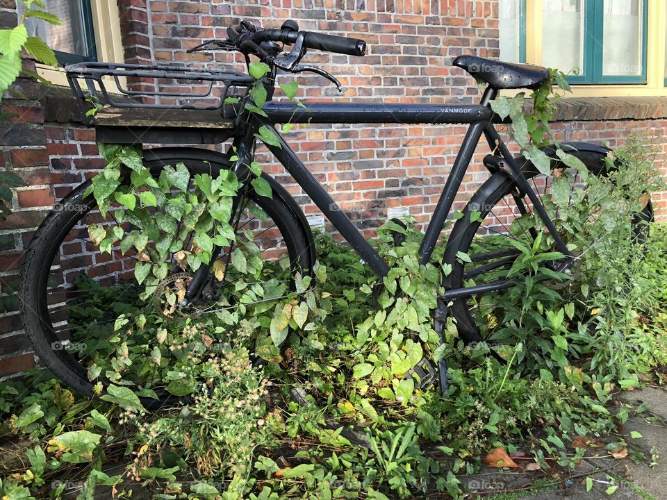 Bicycle, forgotten in big city