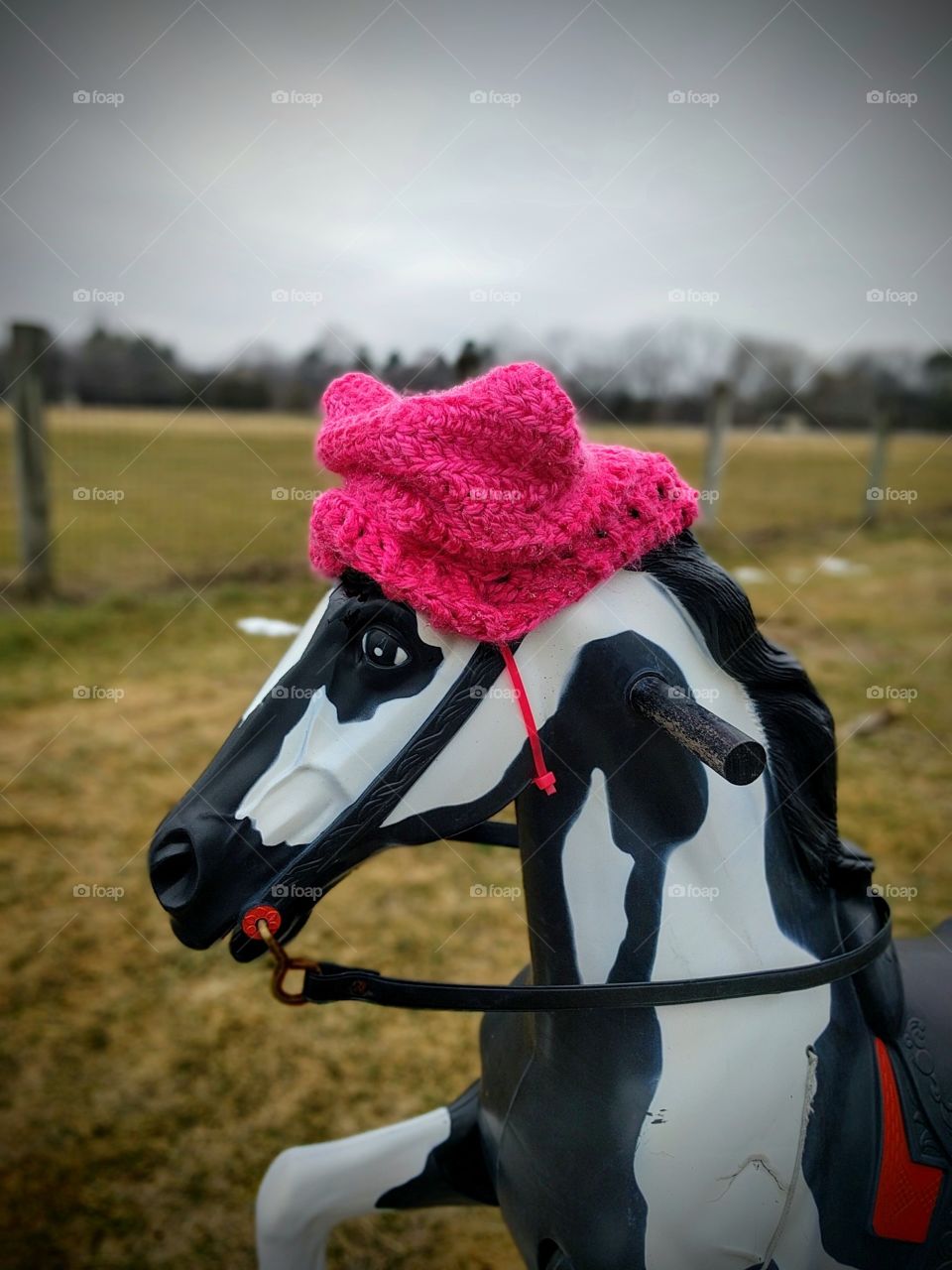 Rocking horse wearing pussy hat