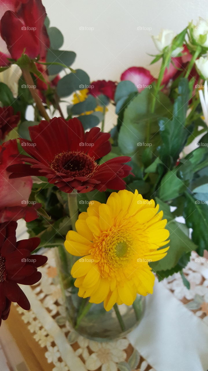 Blumen 🌼🌹🤗🌞