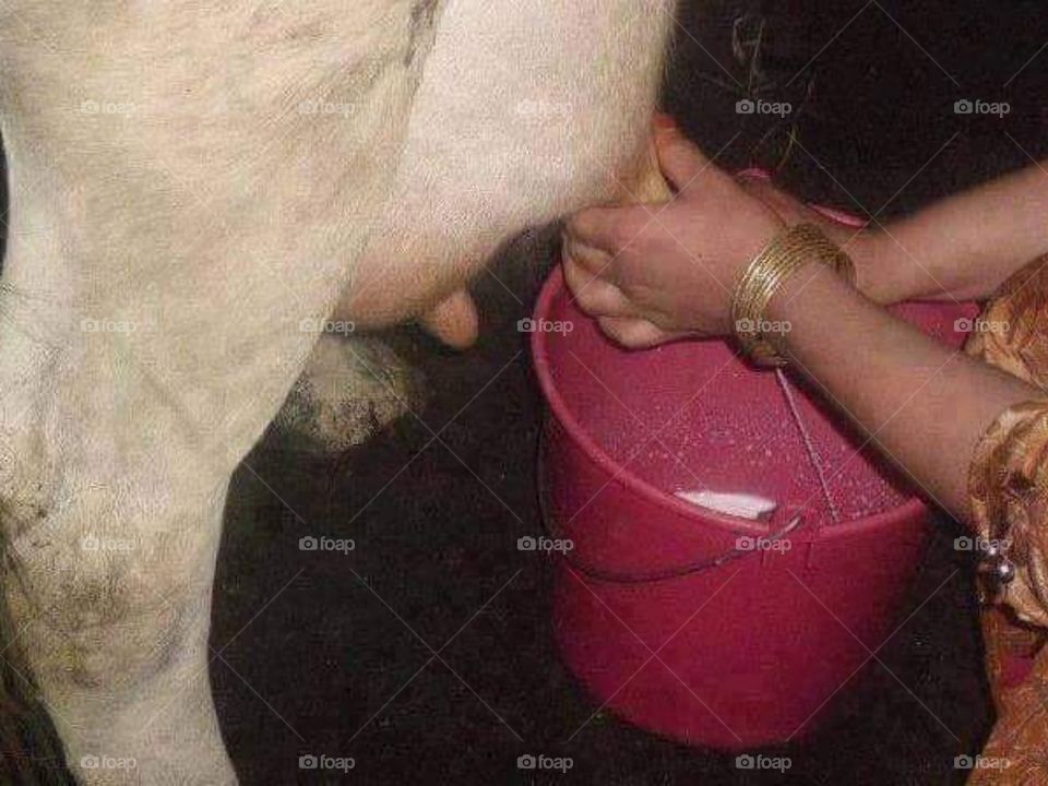 People, Event, Entertainment, Pop, Famous