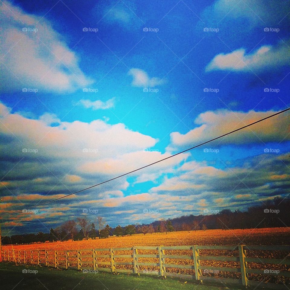 Harvested Cornfield 