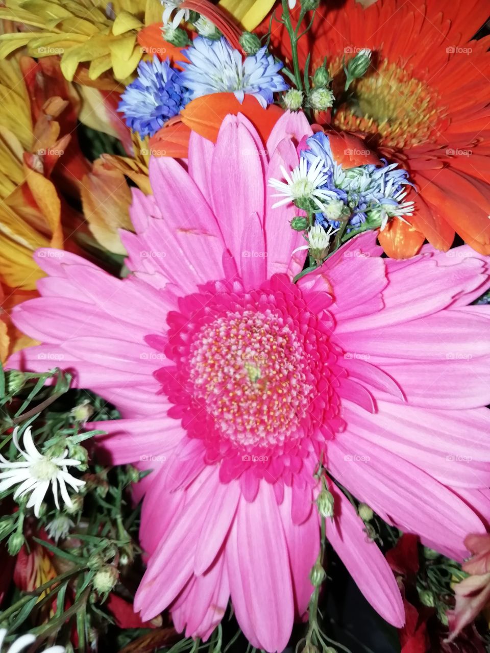 Flowers from a bouquet. Prettyness all-over