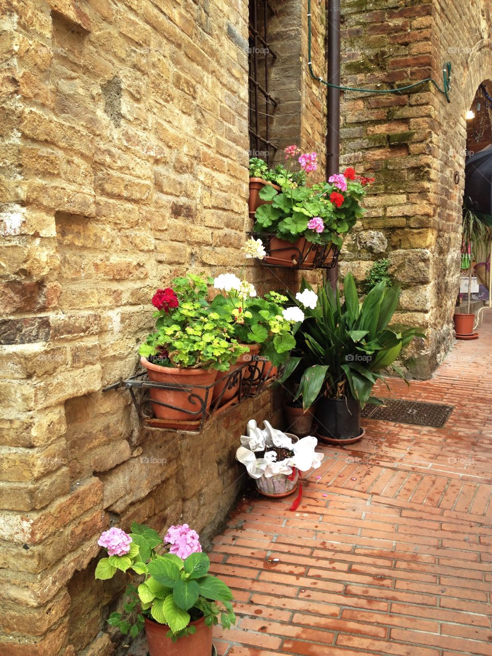 Flower pots in the street