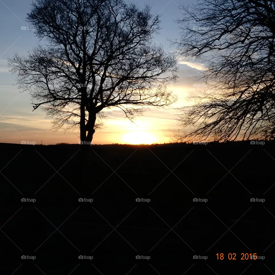 Sunset