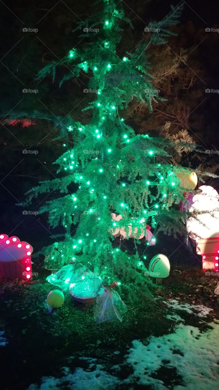 Tree Lights