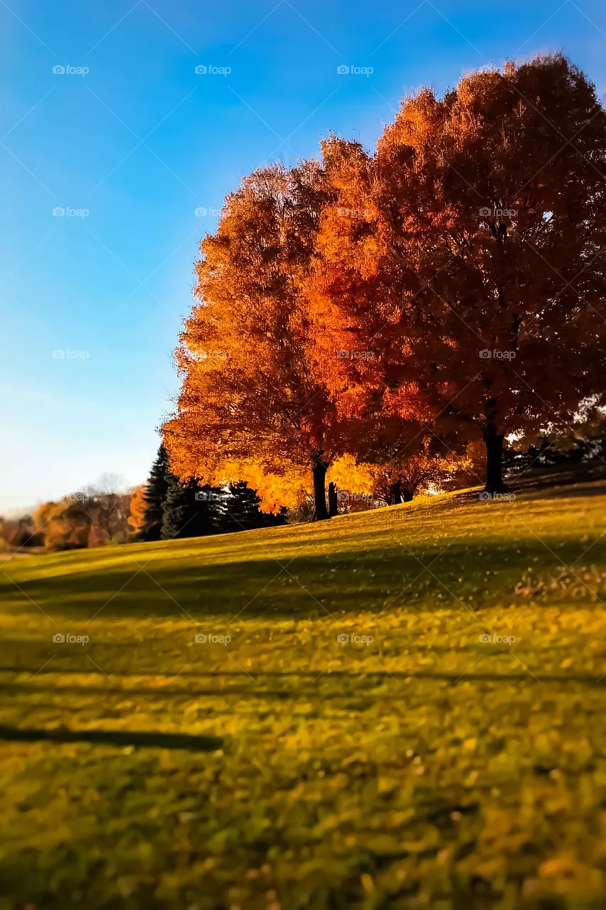 Autumn