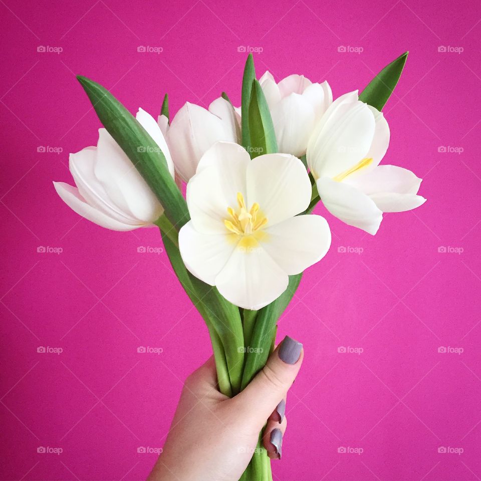 Beautiful flowers on purple background