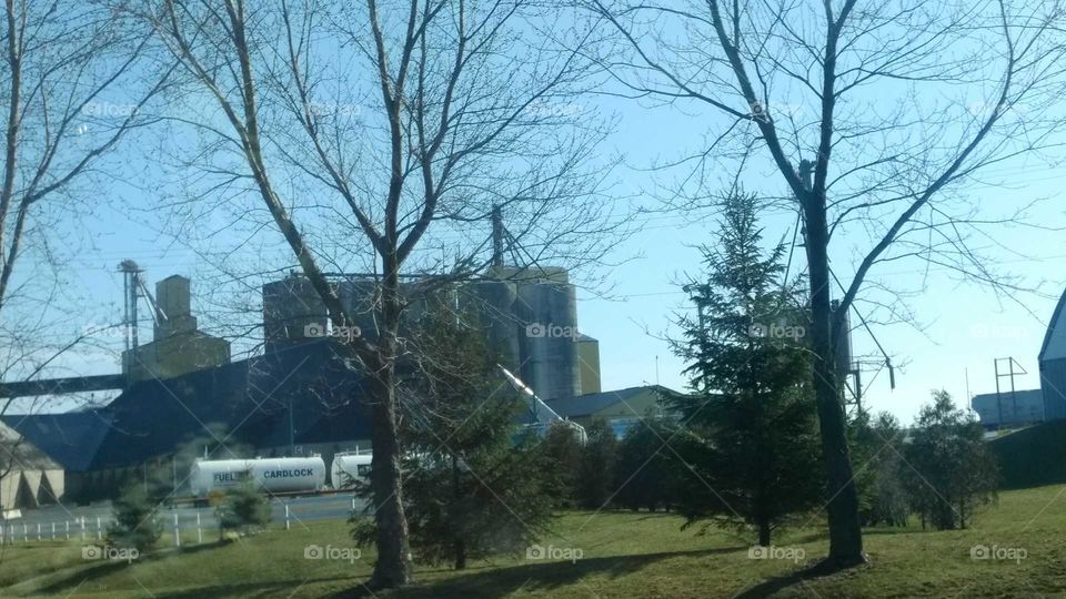 Tree, Landscape, Building, House, Wood