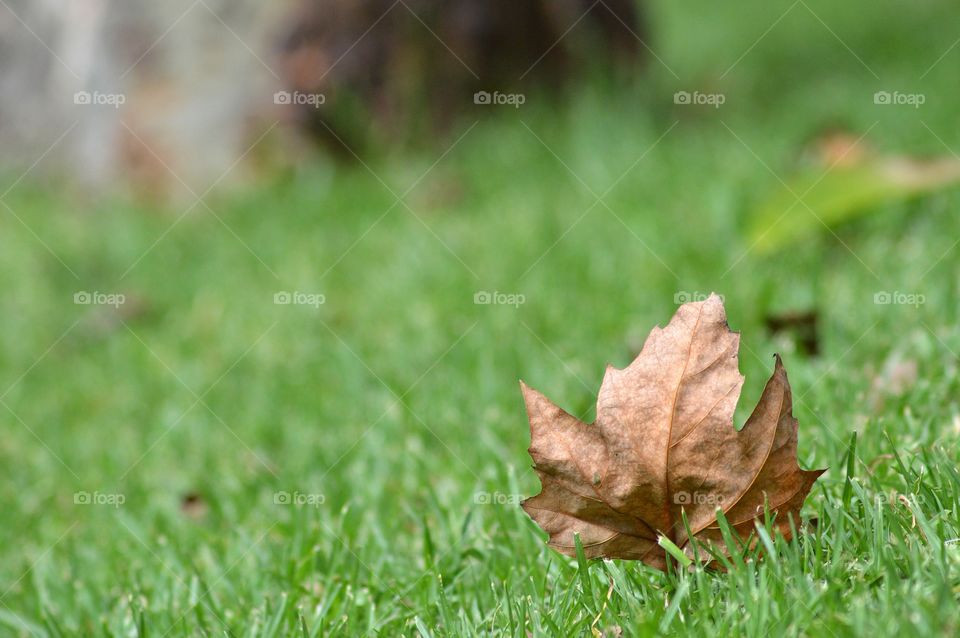 First signs of autumn