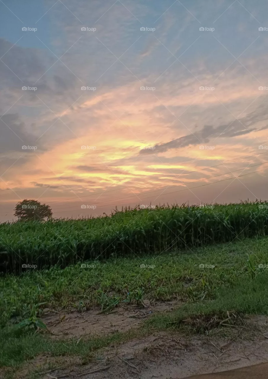 Beautiful sunset