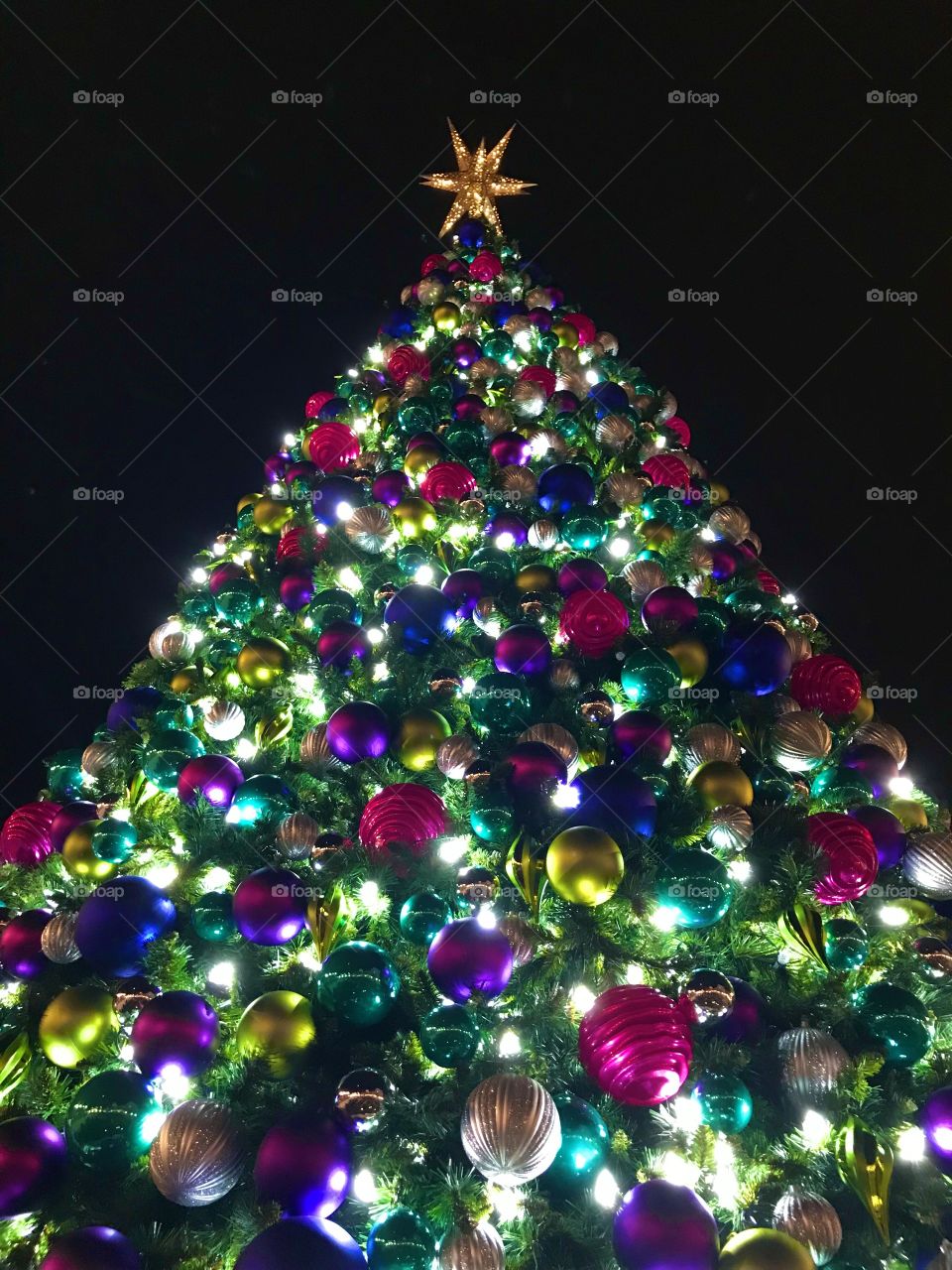 A fully decorated Christmas tree. 