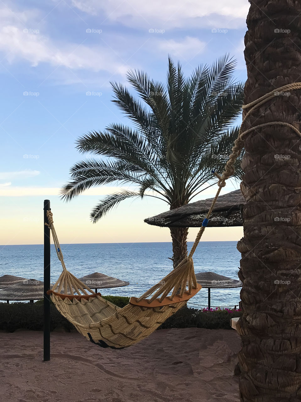 Enjoying the last summer days at the beach in hammock 