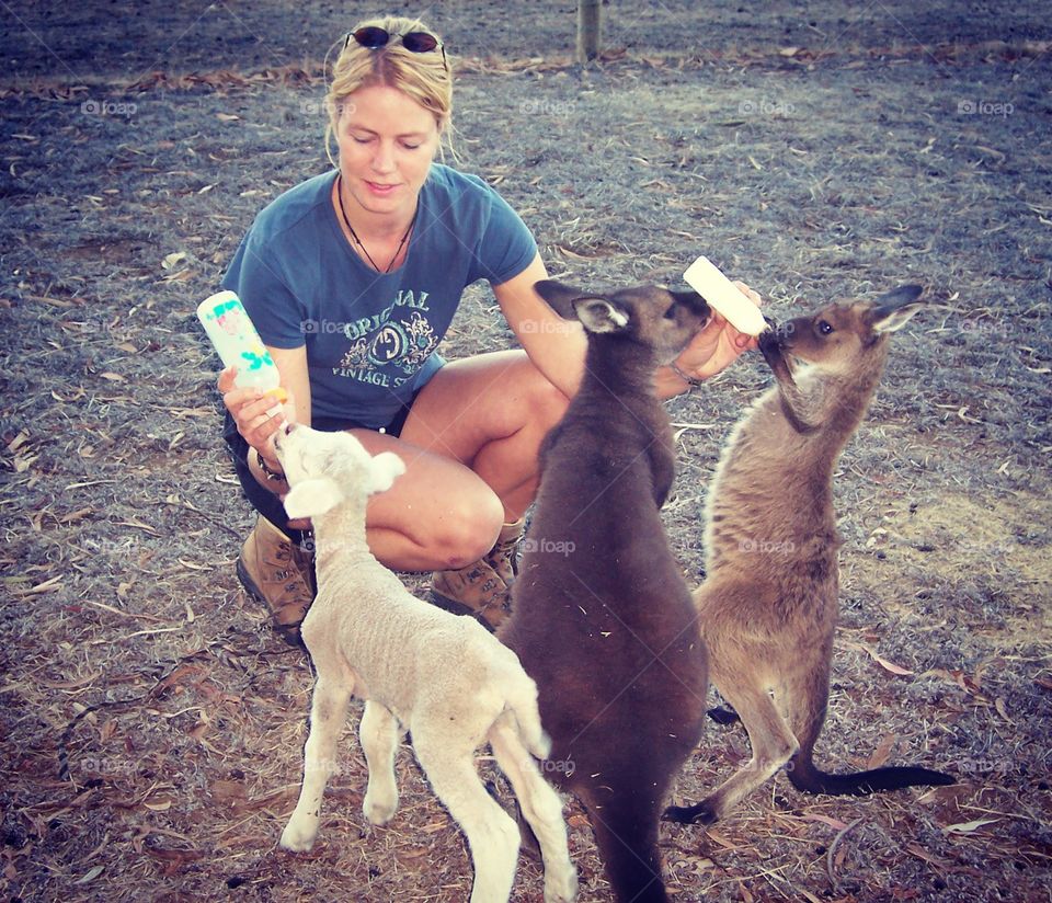 Working as a Volunteer in Australia, Kangaroo Island.