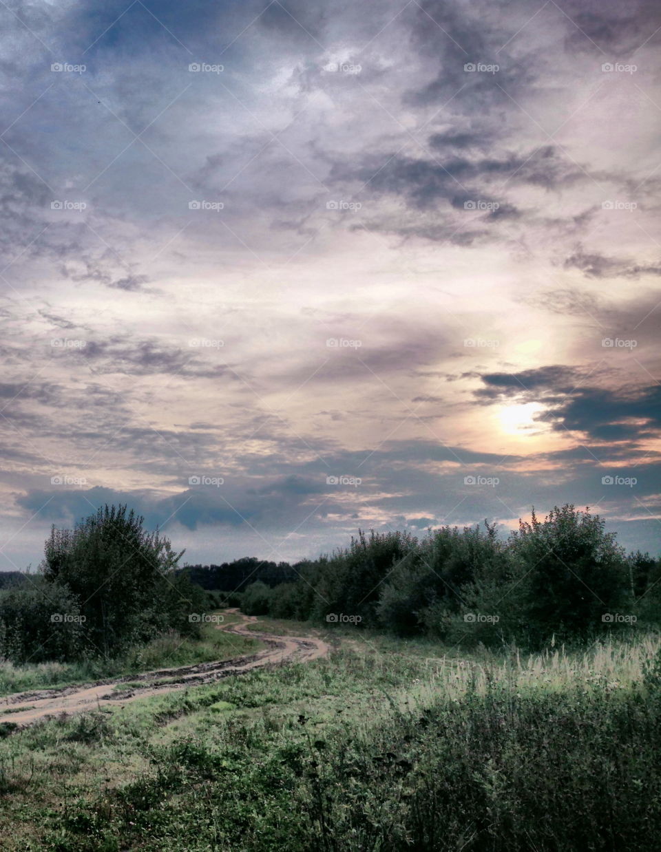 Morning over country road