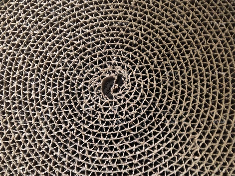 Spiral concentric circles on cat cardboard scratcher