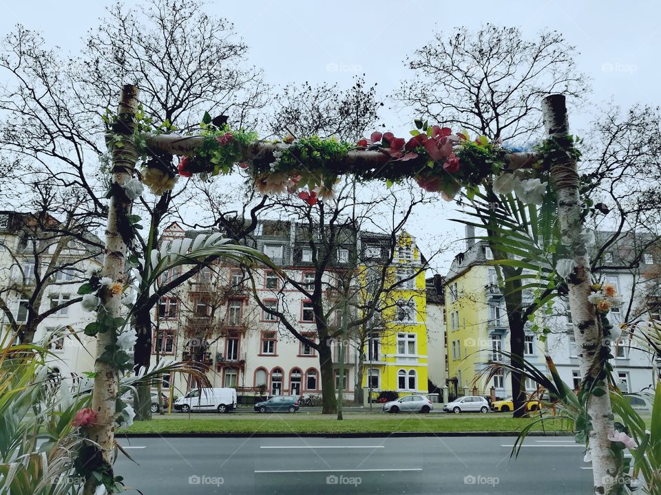 Frame made of natural