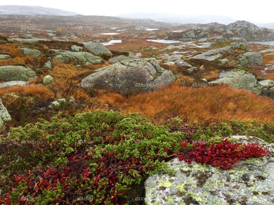 View of landscape during autumn