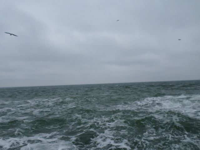Winter sea