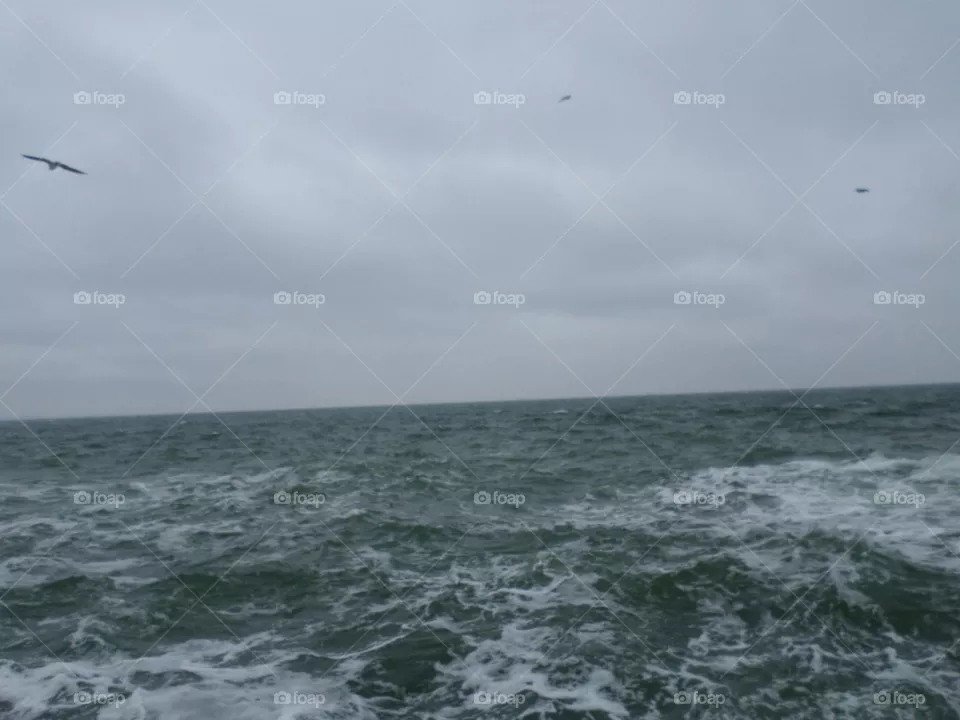 Winter sea
