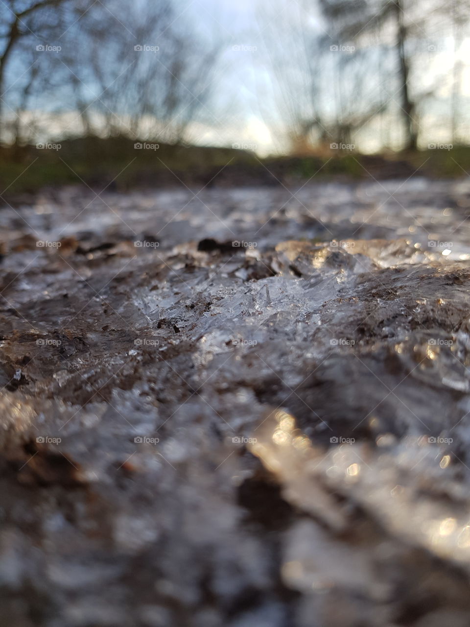 Ice Puddle Landscape