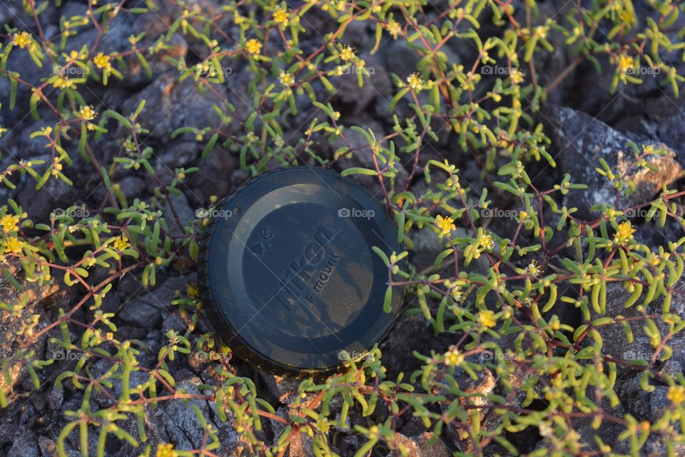 nikon camera Sunsets