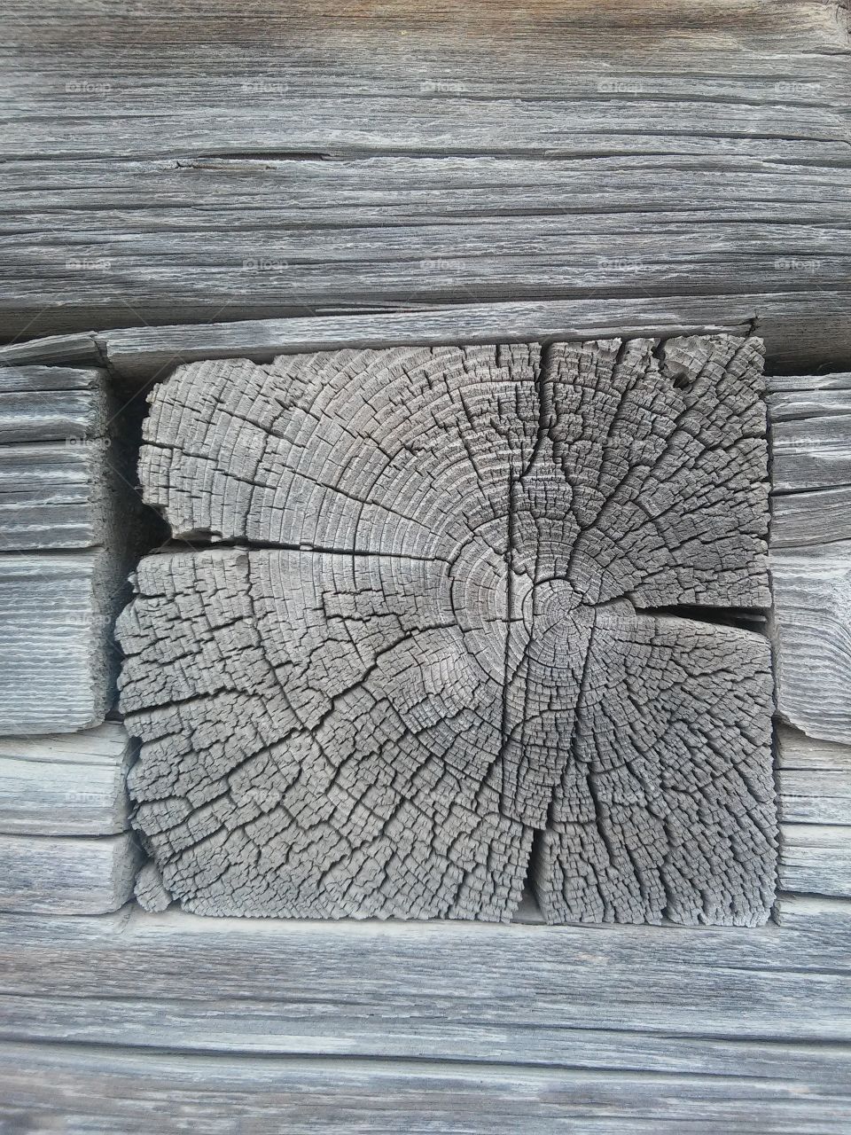 wood