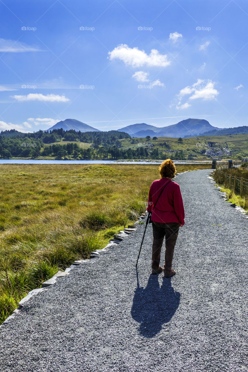 Walker. Snowdonia 