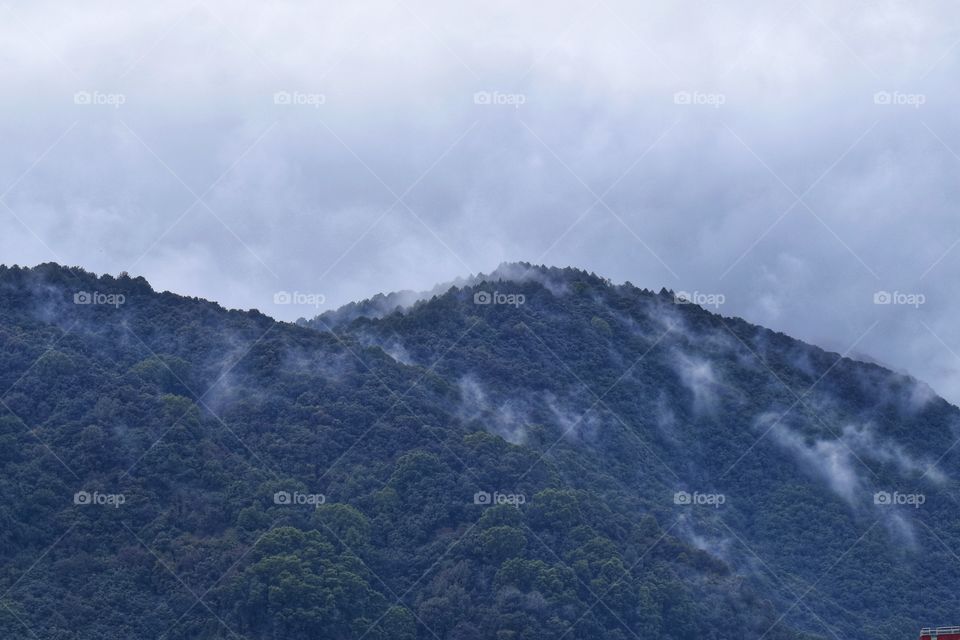 Mists on the hill