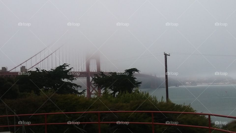 golden gate bridge in a fog