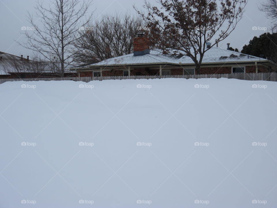 All the way to the top of the fence