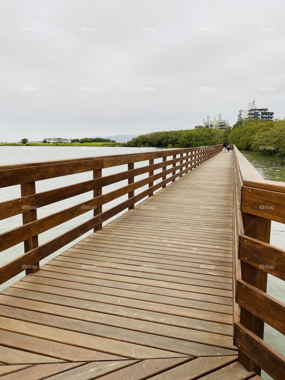 Paths that transmit peace.