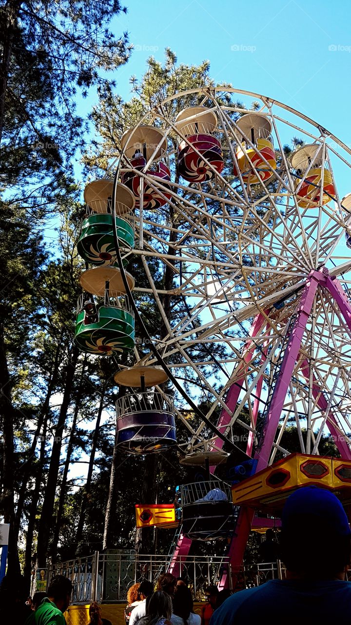 giant wheel