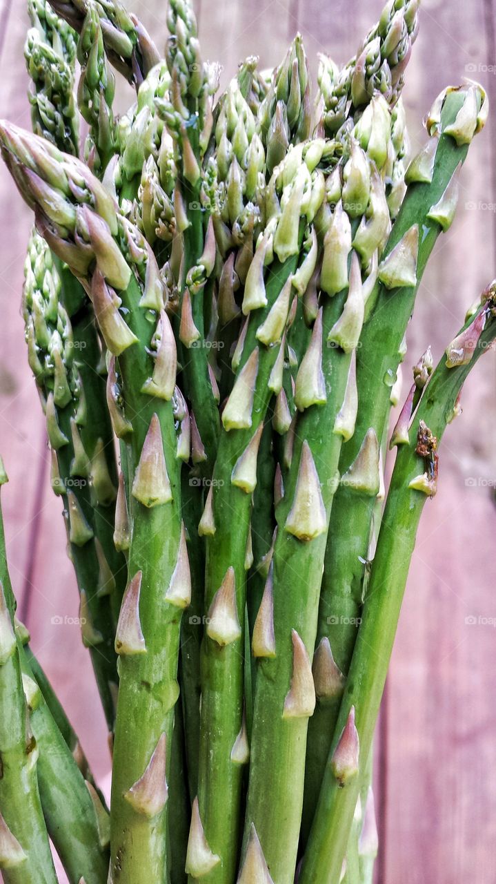 Green Asparagus 