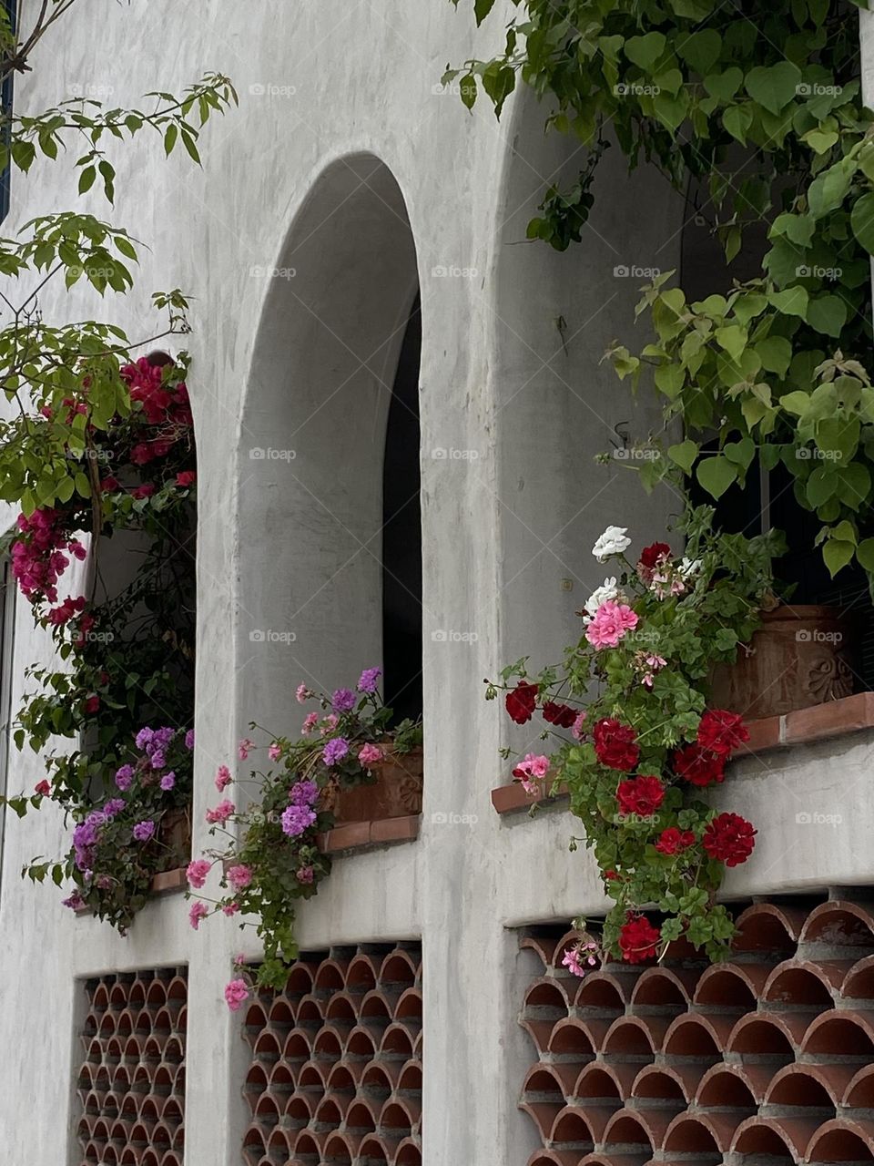 California Architect Flowers