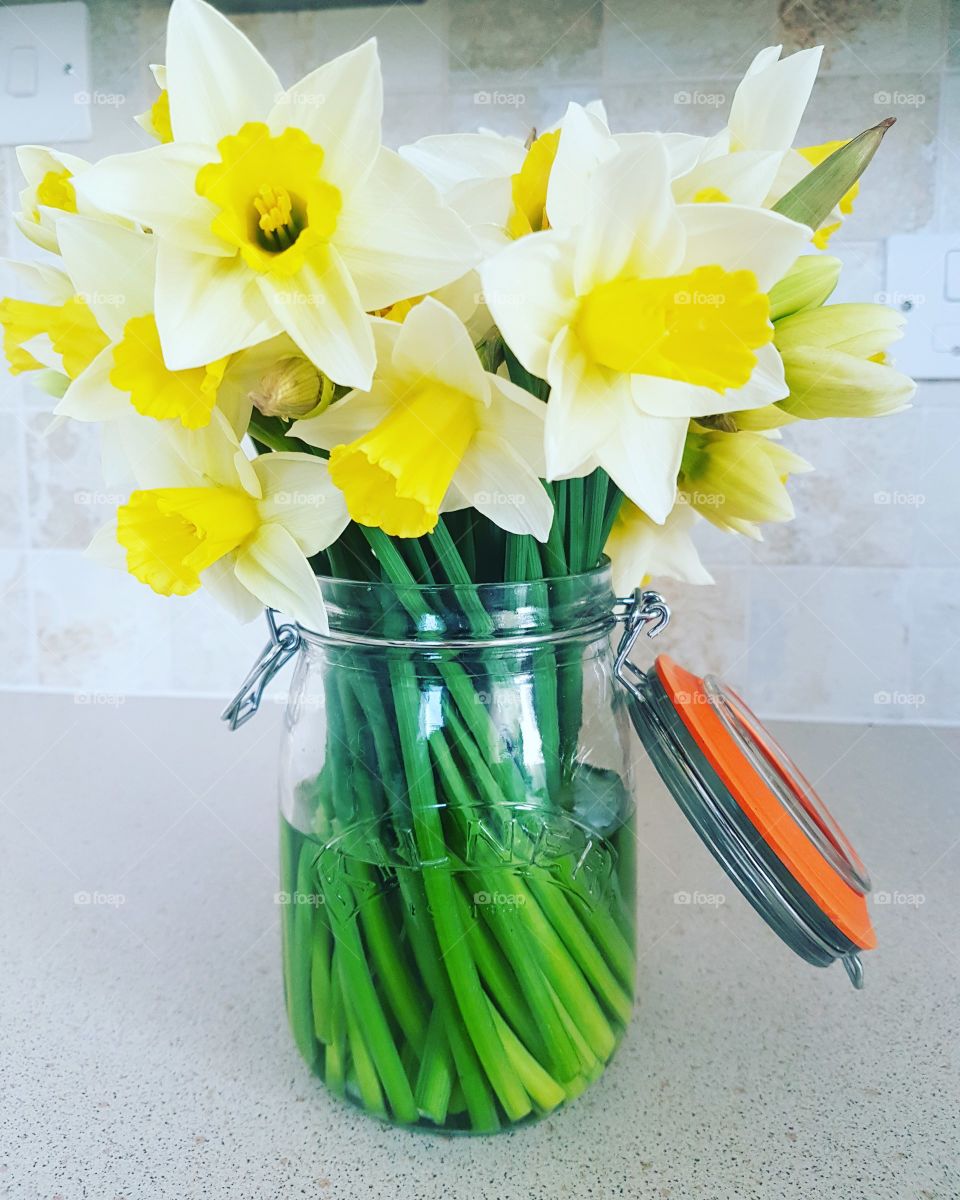 daffs