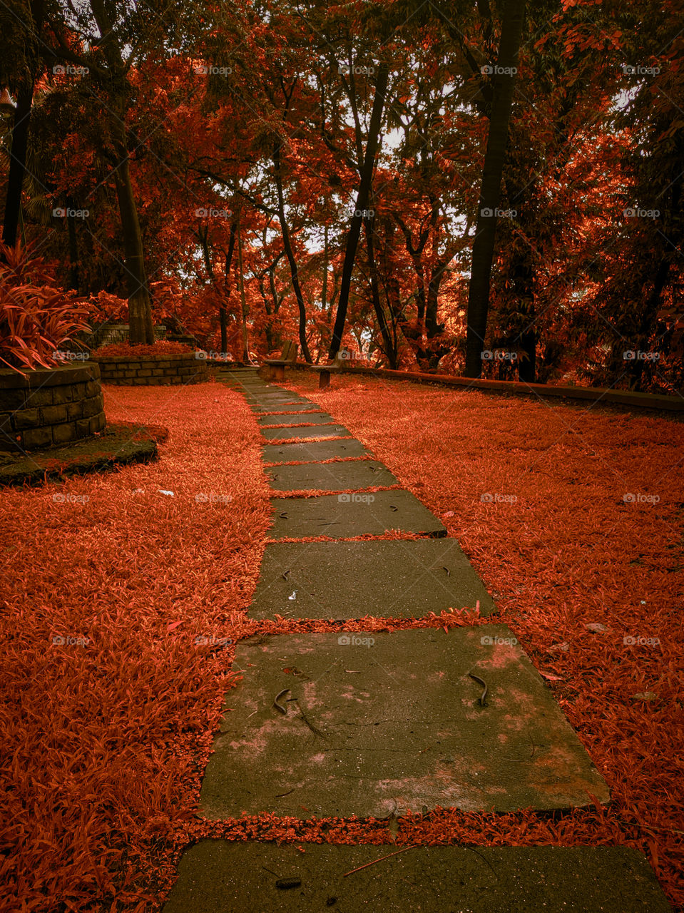 Reddish Orange View- This picture has been captured on Realme 6i.
Colour graded on Adobe Lightroom application.
Picture Location- Sion Fort, Mumbai.
exif-
f/1.8   ISO89   1/210sec